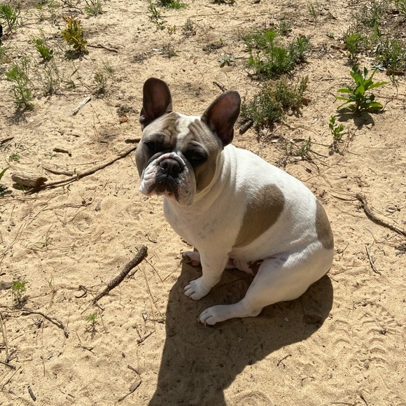 Meet your Posher, Tracy - Picture 7 of 11